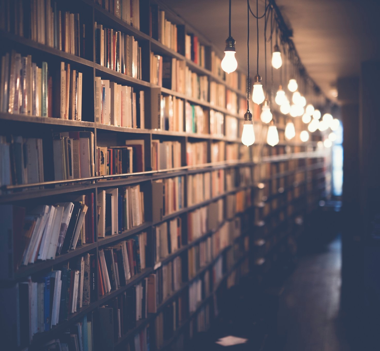 Balancing Education and Freelancing for Maximum Impact